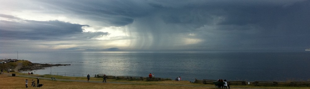 Cross Country Cyclist