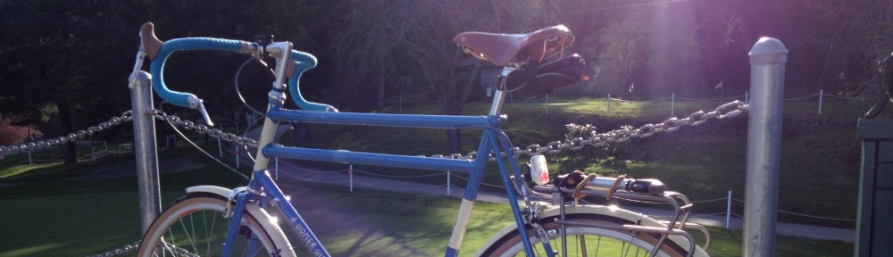 Cross Country Cyclist