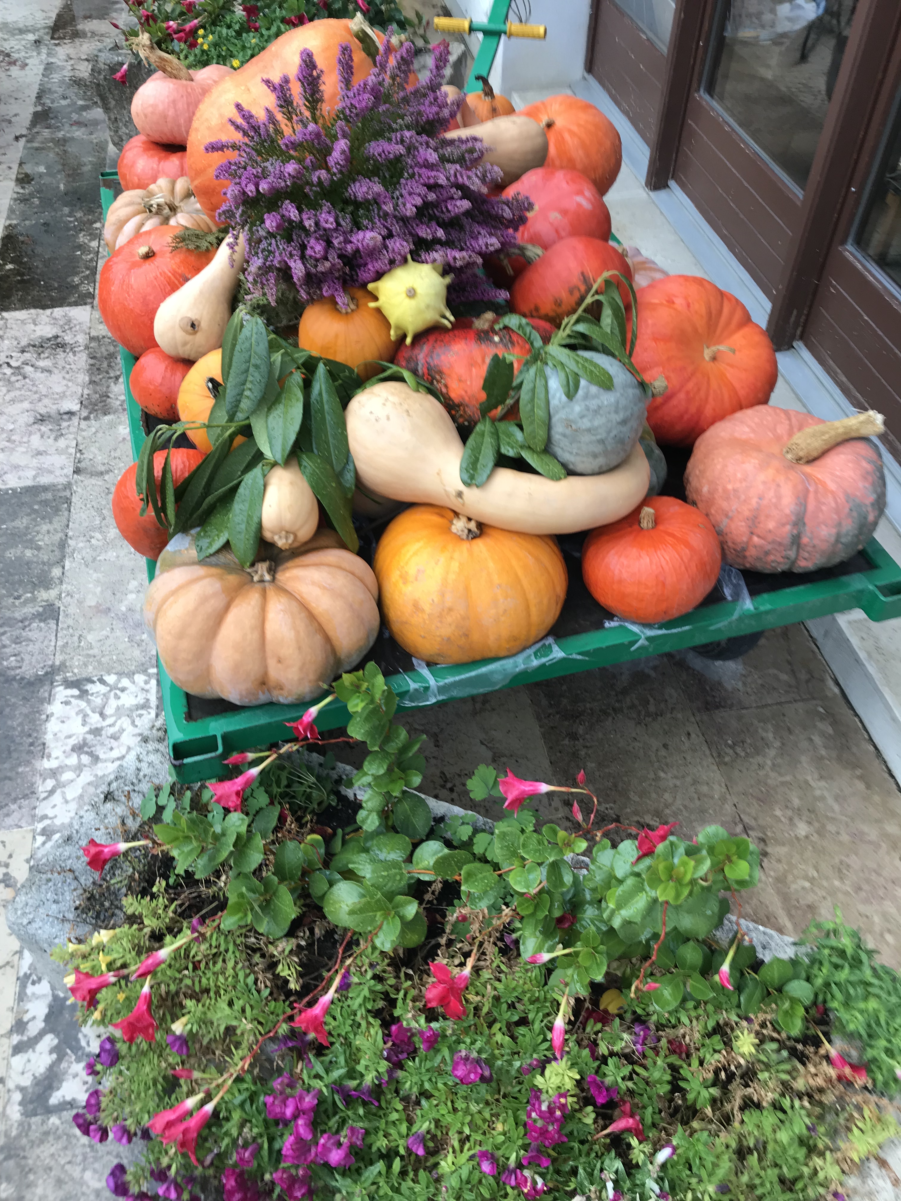 3A888463-06FB-494B-BA26-CF30FB1B4F7C