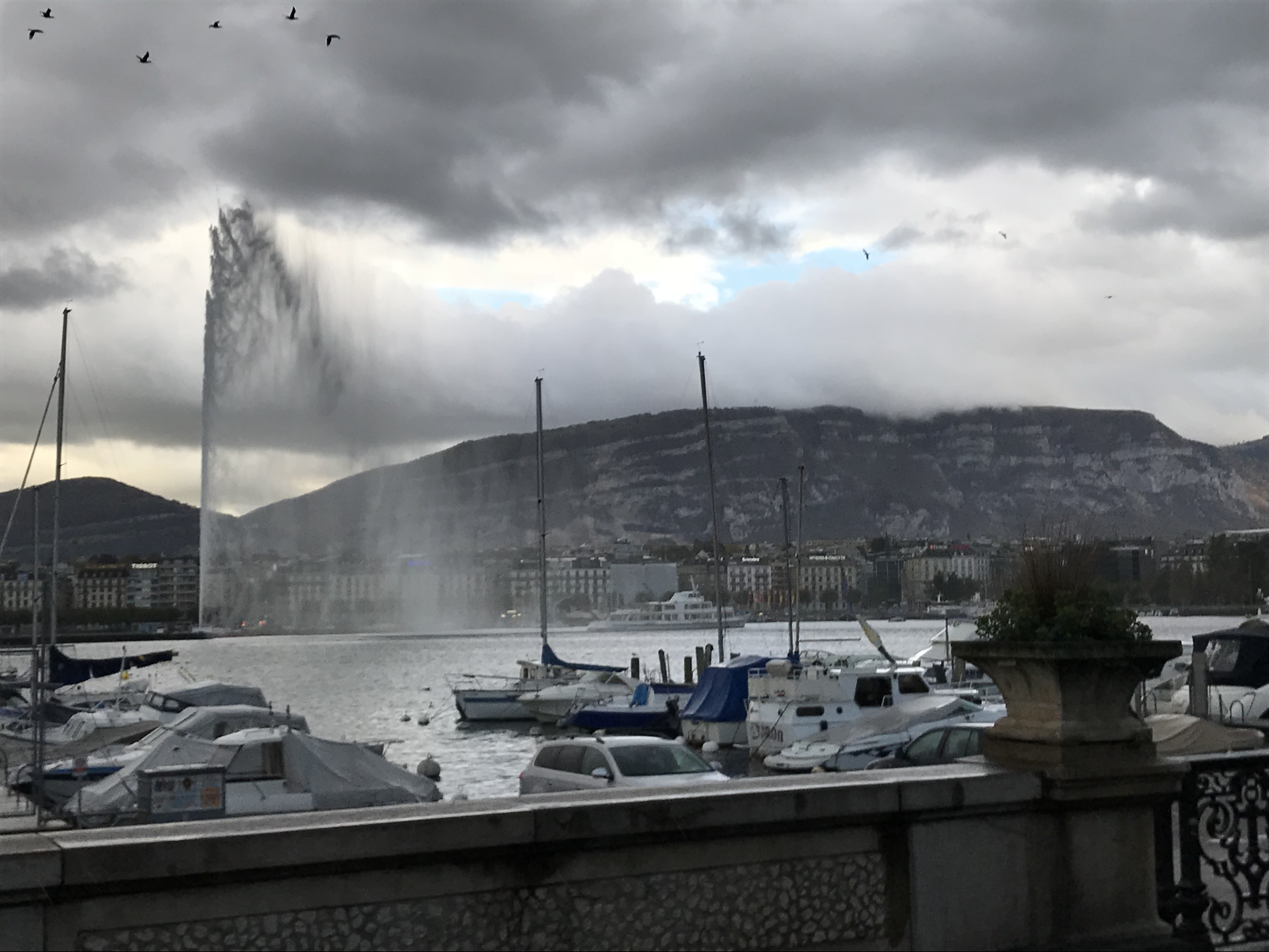 625672F5-9B15-43CA-A1DD-E8A623C36F86