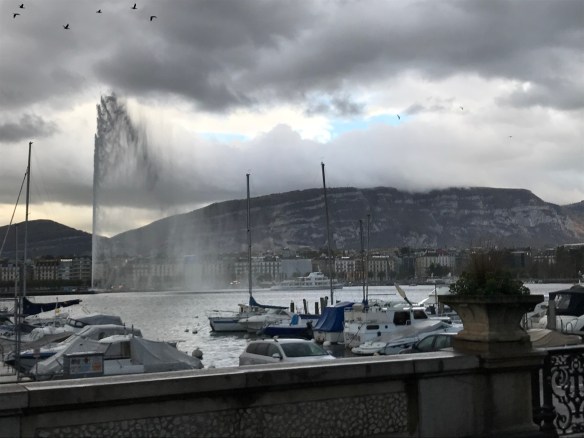 625672F5-9B15-43CA-A1DD-E8A623C36F86