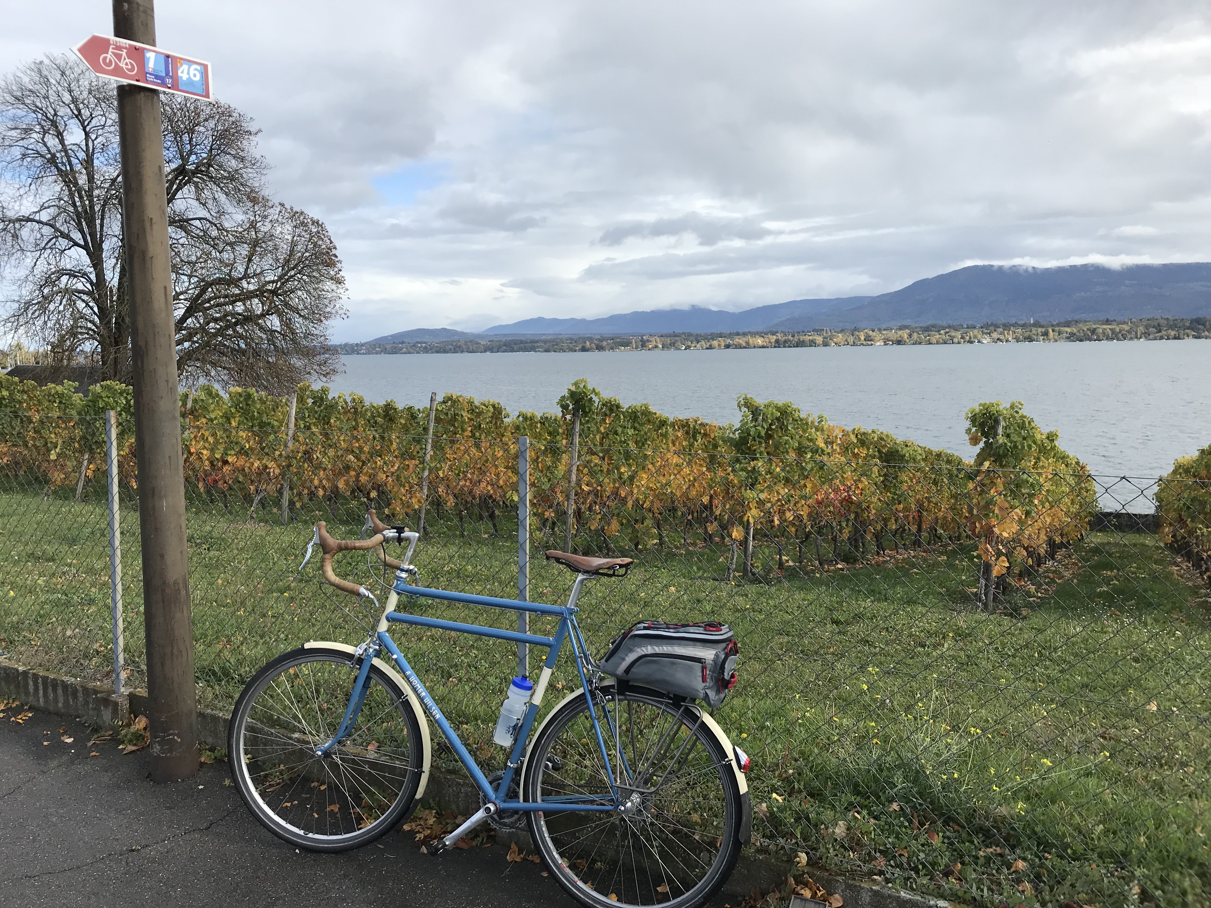 6F29F9CE-FC00-47A5-A46A-B2EF2FC28A2A