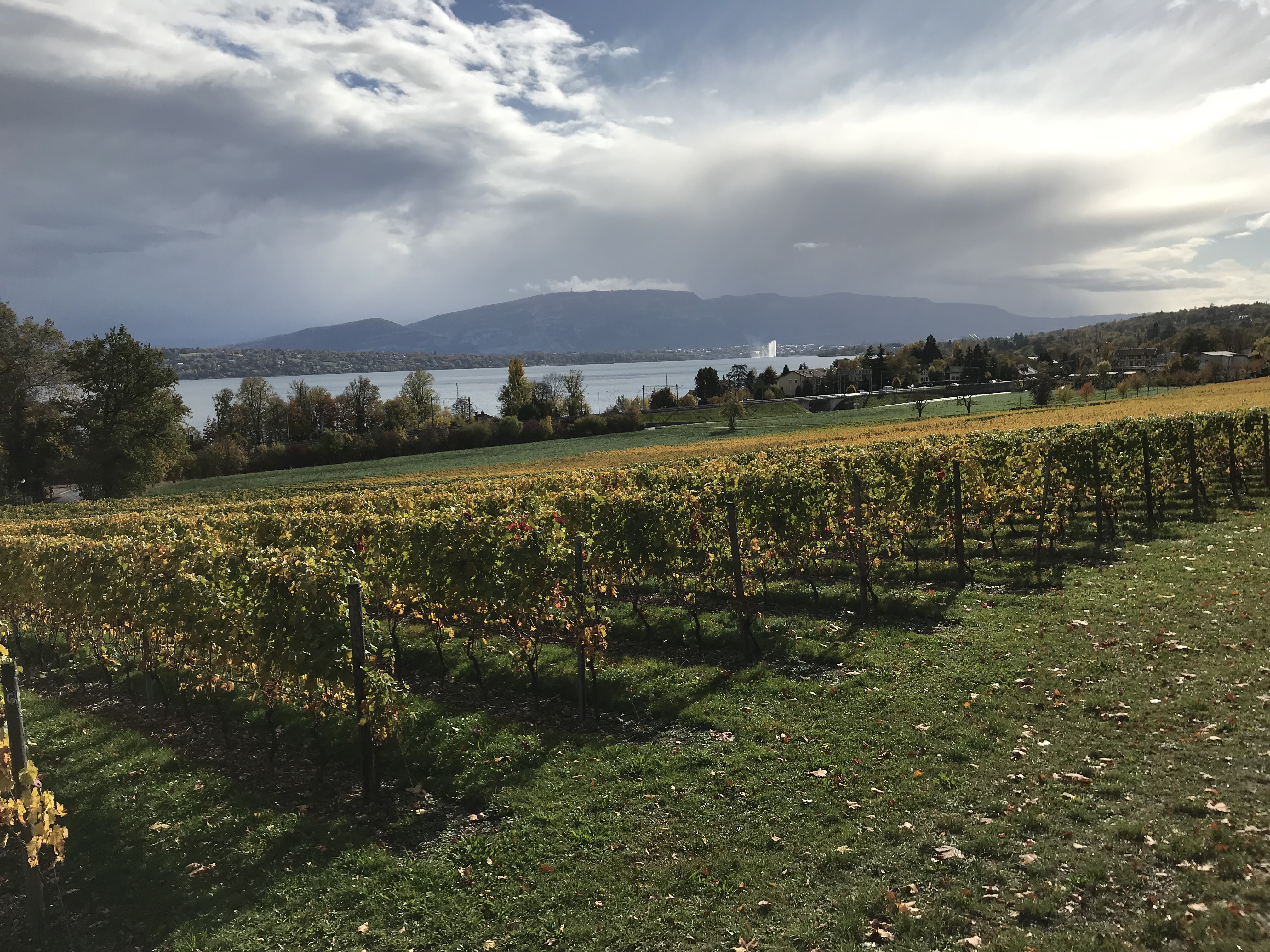 B3B745CC-D712-4659-9539-7550A44A4E83