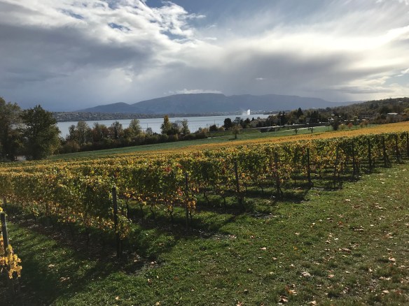 B3B745CC-D712-4659-9539-7550A44A4E83