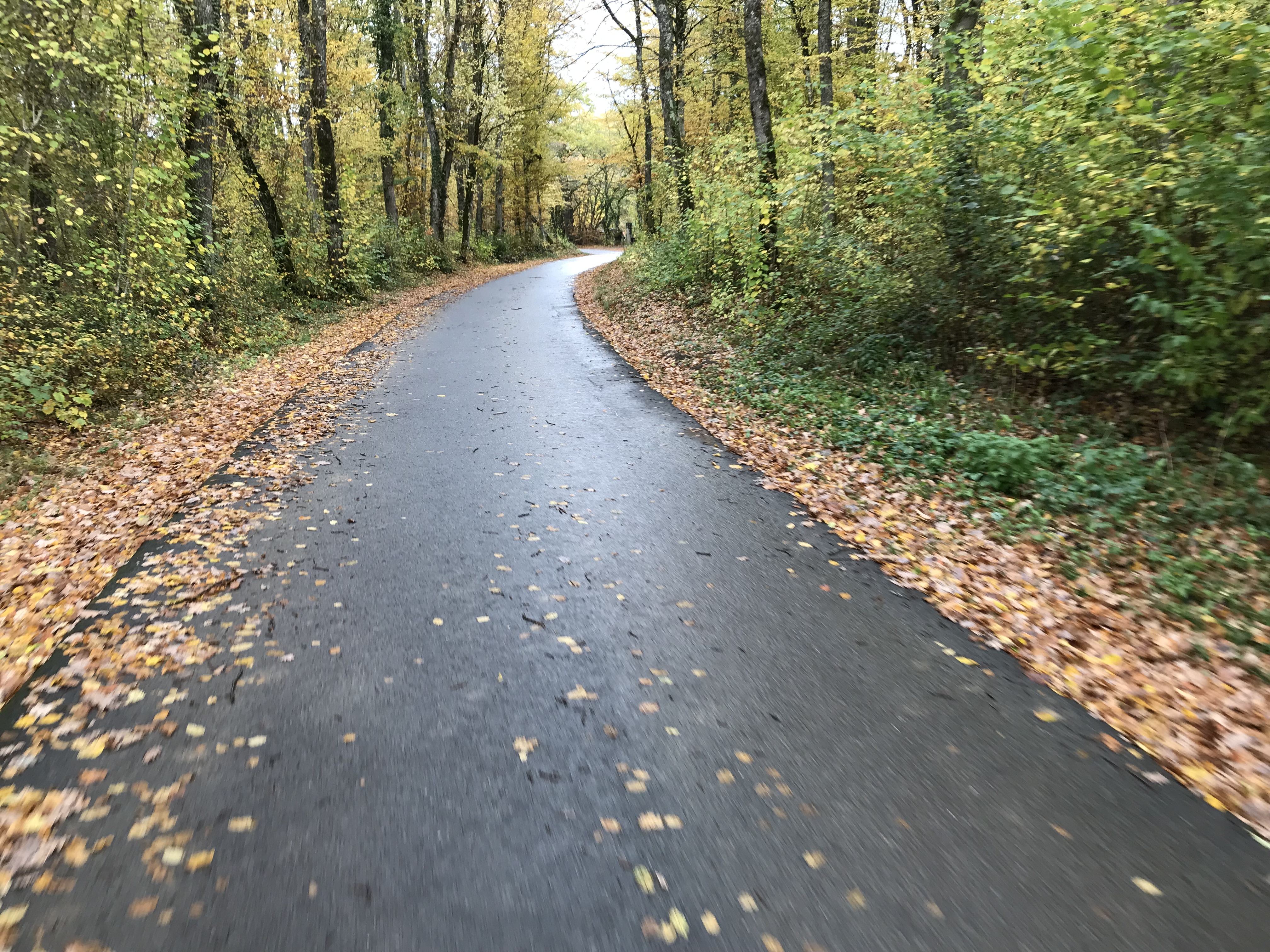 D3A48051-D24B-4EEA-B7E3-9B565EE2AE8E