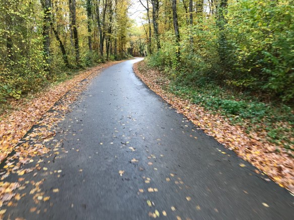 D3A48051-D24B-4EEA-B7E3-9B565EE2AE8E