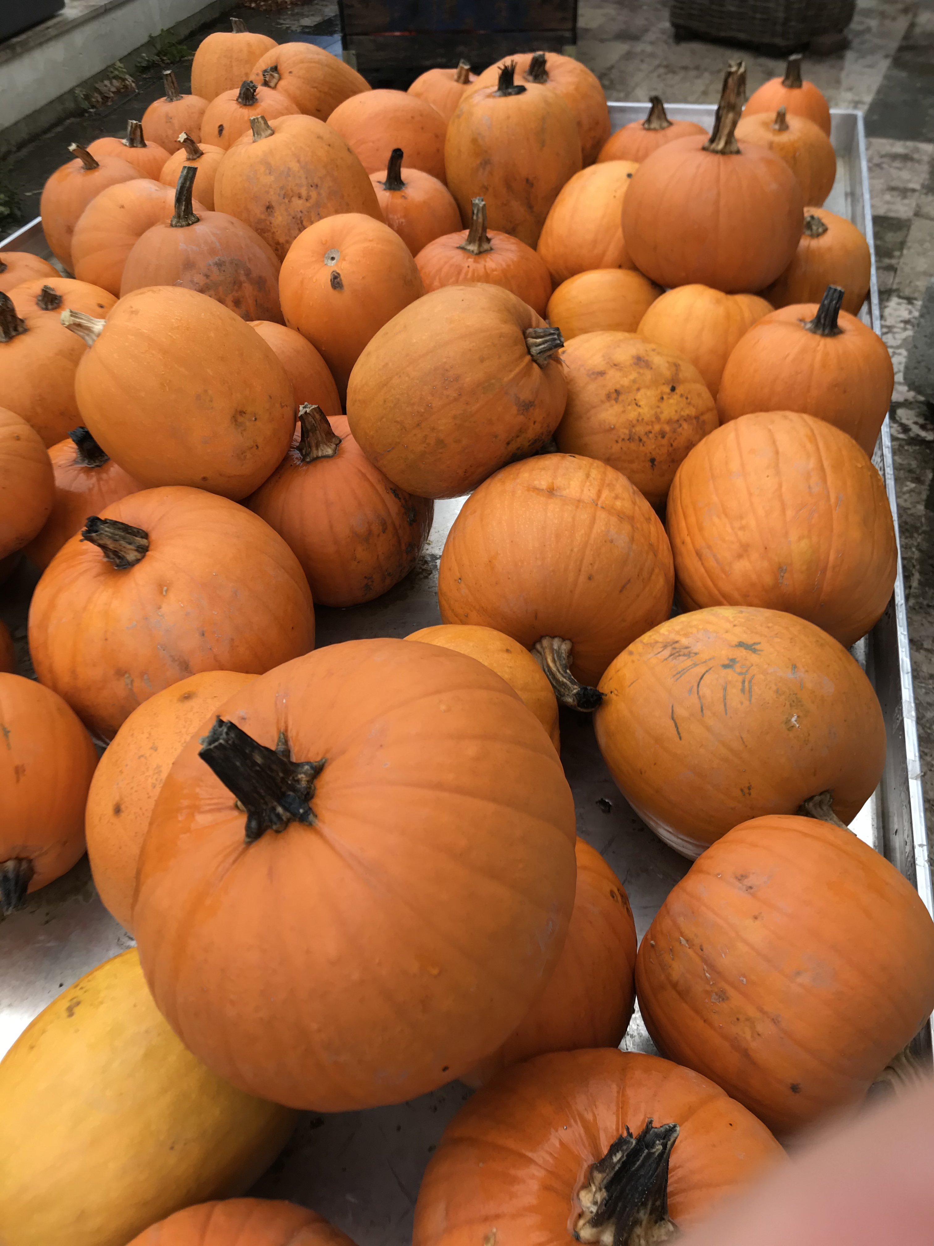 DE4DB713-5E97-45A7-AF49-82BA55D4A655